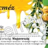 Mézesüveg címke